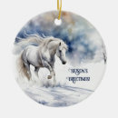 Search for stallion ornaments Snow