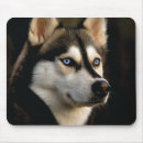 Recherche de husky tapis souris Coquin