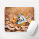Recherche de gland tapis souris Écureuil