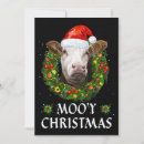Search for daisy cattle invitations Heifer