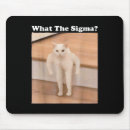 Search for internet electronics Kitten