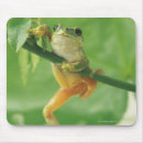 Search for tree frog mousepads Green