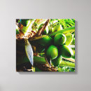 Search for trinidad and tobago art Barbados