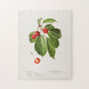 Recherche de cerises puzzles Fruit