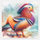 Search for colorful birds stickers Watercolor