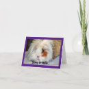 Search for pig get well cards Cute