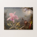 Recherche de cattleya Martin johnson heade