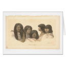 Search for bancroft library People