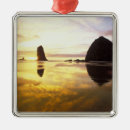 Search for cannon beach ornaments Seascape