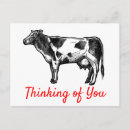 Recherche de fermier cartes postales Vache