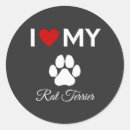 Search for pet rat stickers Dog