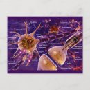 Recherche de neurones cartes postales Anatomie