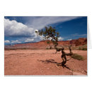 Recherche de récif photographie Utah