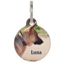 Search for german shepherd dog tags Alsatian