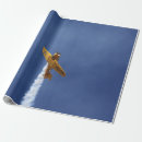 Recherche de guerre papier cadeau Avions