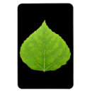 Search for colorado spring magnets Aspen