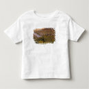 Recherche de mossel tshirts Jour