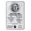 Recherche de compagnie magnets Chien