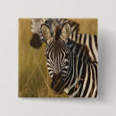 Recherche de adams badges Afrique