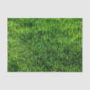 Search for green grass tissue paper Nature