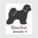 Recherche de tibétain Dog