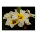 Recherche de horticulture vœux cartes Flore