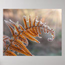 Recherche de gel art Feuille