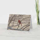 Search for heaven and nature sing christmas cards Inspirational