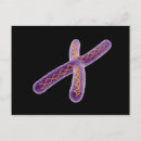 Recherche de chromosome cartes postales Microbiologie