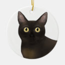 Search for burmese ornaments Animals