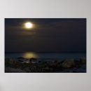 Search for moonlight on water posters Ocean