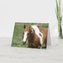 Search for flashy cards Horse