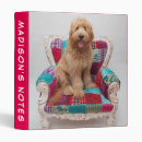 Search for dog standard binders Goldendoodle