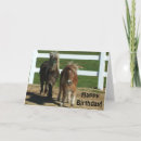 Search for miniature horse Pony