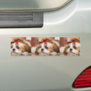 Recherche de photo chien voiture autocollants Amoureux de les chiens