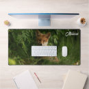 Search for red fox electronics Woodland