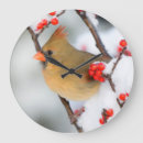 Search for common as a art Avian