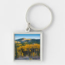 Search for aspen colorado keychains Anna miller