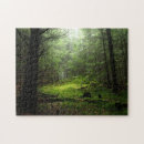 Recherche de tronc puzzles Forêt