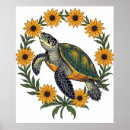 Search for terrapins posters Reptile