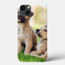 Search for two animals ipad cases Cute
