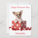 Recherche de chihuahua valentines day cards Chiot