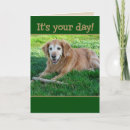 Search for golden retriever fathers day cards Dad