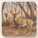 Recherche de buck dessous de verres Cerf de virginie