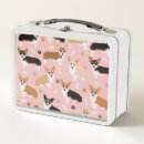 Search for corgi lunch boxes Dogs