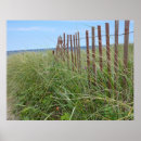 Search for sand dune fencing art Cape cod