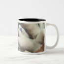 Search for underwater mugs Swimming