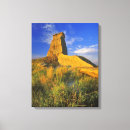 Search for eroded canvas prints Usa