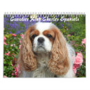 Search for cavalier king charles spaniel office supplies Puppies
