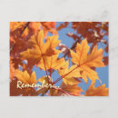 Recherche de service cartes postales Customer